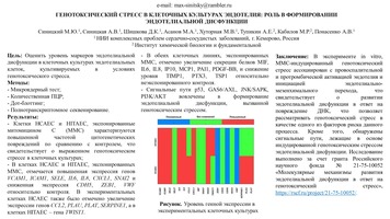 ГЕНОТОКСИЧЕСКИЙ СТРЕСС В КЛЕТОЧНЫХ КУЛЬТУРАХ ЭНДОТЕЛИЯ: РОЛЬ В ФОРМИРОВАНИИ
ЭНДОТЕЛИАЛЬНОЙ ДИСФУНКЦИИ
