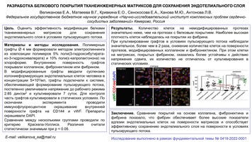РАЗРАБОТКА БЕЛКОВОГО ПОКРЫТИЯ ТКАНЕИНЖЕНЕРНЫХ МАТРИКСОВ ДЛЯ СОХРАНЕНИЯ ЭНДОТЕЛИАЛЬНОГО СЛОЯ